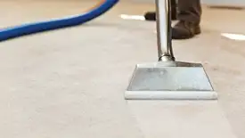 Carpet cleaning wand head gliding over a light carpet during hot-water extraction, Cleveland, OH.